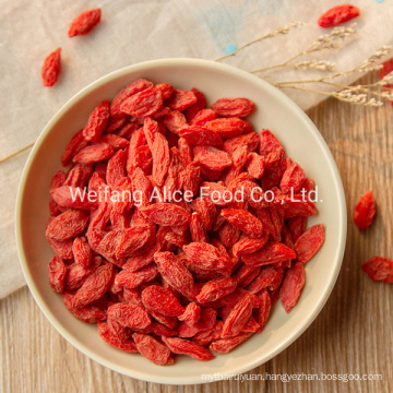Ningxia Dried Organic Goji Berry High Quality Good Selling Gojiberry